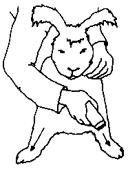 Figure 4.3 Shearing angora rabbits