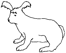 Figure 4.3 Shearing angora rabbits