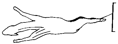 Figure 4.4 Shearing Llamas