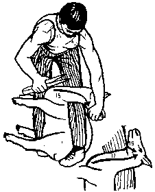 Figure 4.5 Blade shearing