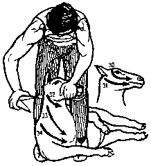 Figure 4.5 Blade shearing