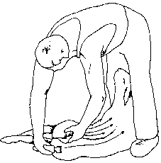 Figure 4.2 Machine shearing crossbred sheep