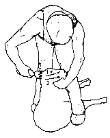 Figure 4.2 Machine shearing crossbred sheep