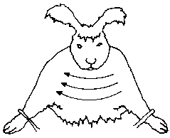 Figure 4.3 Shearing angora rabbits