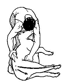 Figure 4.5 Blade shearing