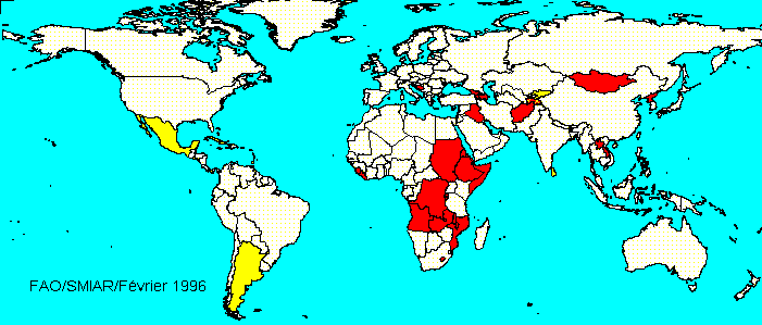 World sensitive map