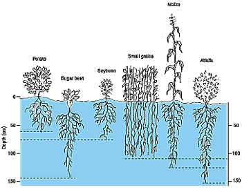 w3094e09.GIF (32738 bytes)