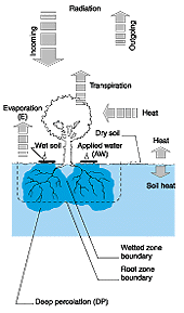 w3094e33.GIF (12414 bytes)