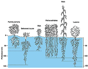 w3094f09.GIF (28541 bytes)