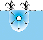 w3094f14.GIF (7461 bytes)