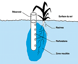 w3094f16.GIF (12969 bytes)