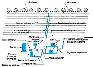 w3094f18.GIF (16212 bytes)