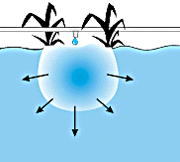 w3094f19.GIF (10026 bytes)