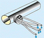 w3094f22.GIF (11404 bytes)