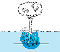 w3094f29.GIF (7365 bytes)