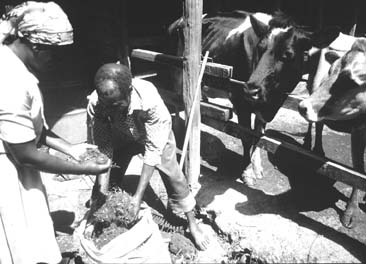 W5256t03.JPG (27038 bytes)