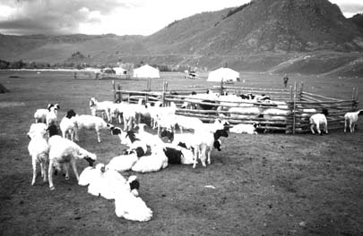 W5256t07.JPG (26360 bytes)