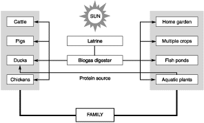 W5256t23.gif (5297 bytes)