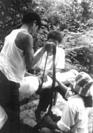 W5256t28.JPG (12935 bytes)