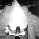 W5256t29.JPG (8259 bytes)