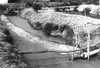 W5256t35.JPG (32311 bytes)