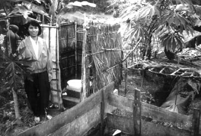 W5256t36.JPG (33066 bytes)