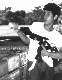 W5256t38.JPG (19848 bytes)