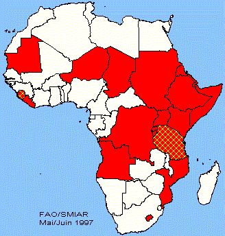 Afrique