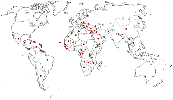 W5777e08.GIF (32567 bytes)