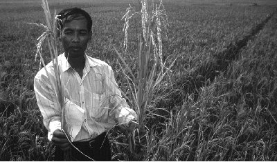 w6020e23.jpg (32785 bytes)