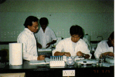 Fan1.gif (55226 byte)