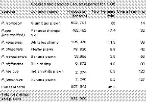 Rana2.jpg (23783 byte)