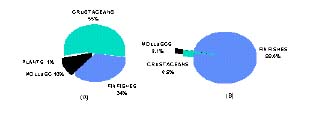 UntWMF14.JPG (5902 byte)