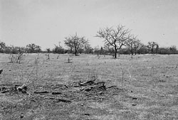 w6437t06.jpg (13858 bytes)