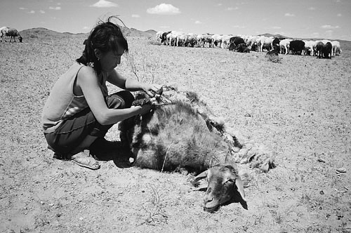 w6437t18.jpg (63236 bytes)