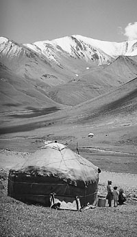 w6437t20.jpg (22328 bytes)