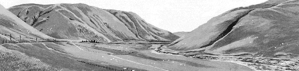 w6437t23.gif (40215 bytes)