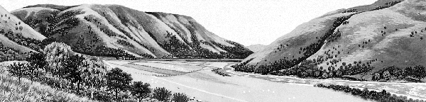 w6437t24.gif (48608 bytes)