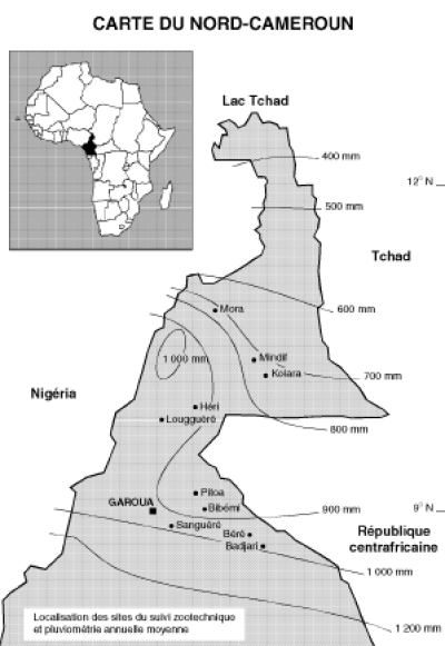 w6437t03.gif (82829 bytes)