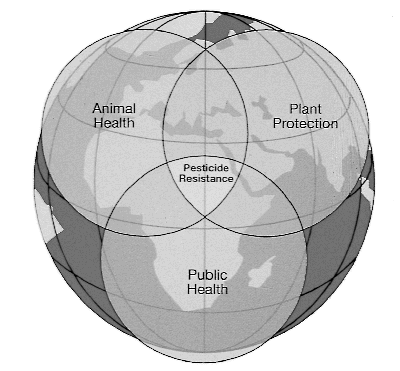 w6437t27.gif (35246 bytes)