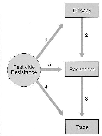 w6437t29.gif (17895 bytes)