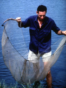 New1.jpg (43528 byte)