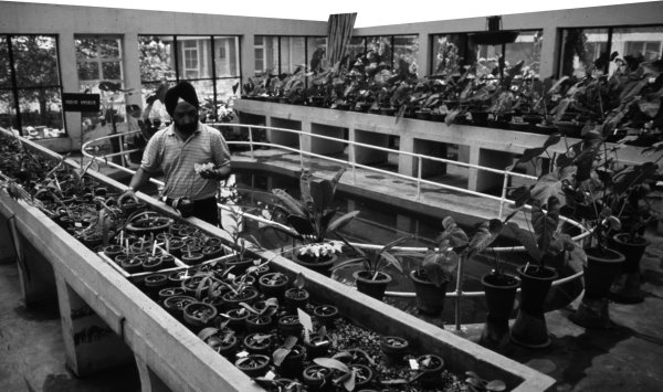 w7638f11.jpg (58115 bytes)