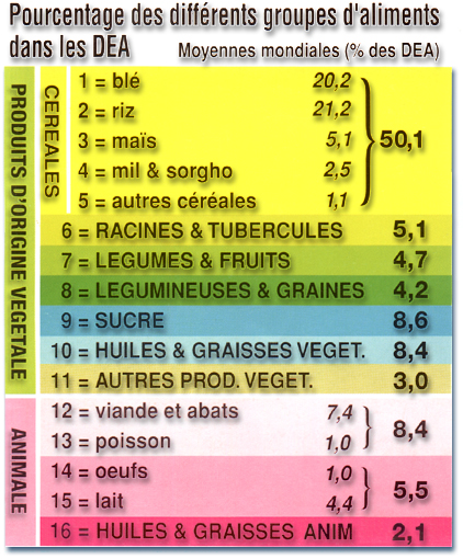 W8378f0p.jpg (256238 bytes)