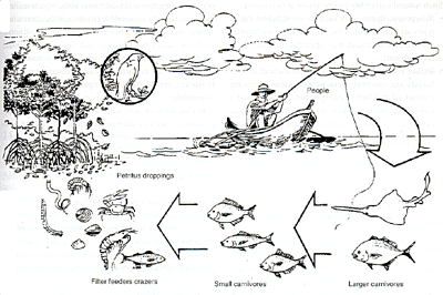 W8440e57.GIF (41457 bytes)