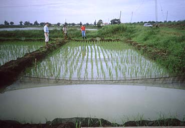 280.jpg (19822 byte)