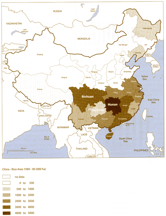 Pag7.gif (167013 byte)