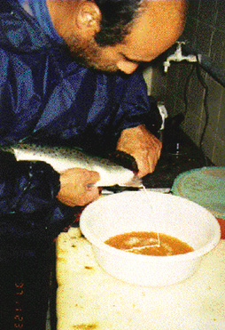 Photo6.jpg (81706 byte)