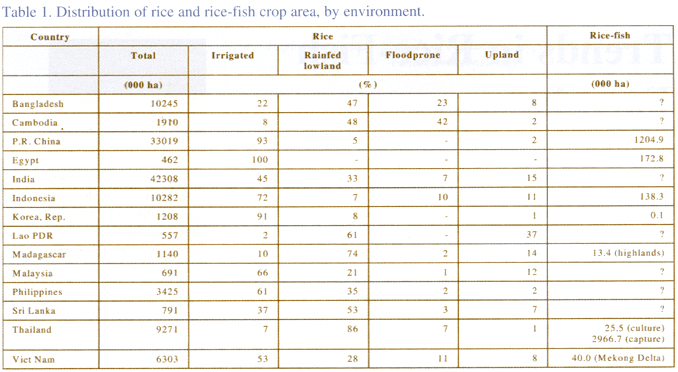pag4-tabla.gif (116437 byte)