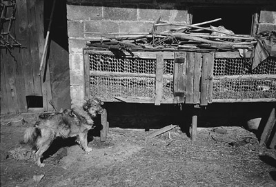 W8600t34.JPG (51050 bytes)